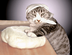cat-GIF-1 🐾 Por Que os Gatos Amassam Pãozinho?