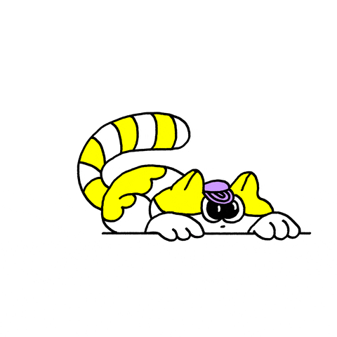 happy-big-eyes-GIF-by-Renato-Flores O Que Seu Gato Está Te Dizendo Com o Rabo Empinado?