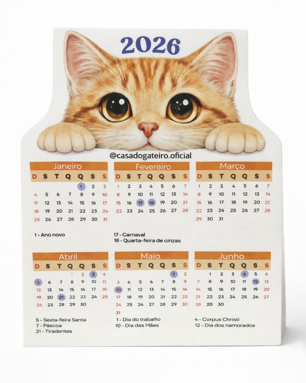 Calendário gato laranja