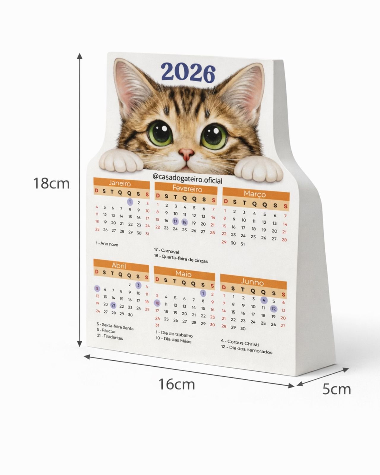 Calendário gato tigrado - Imagem 3